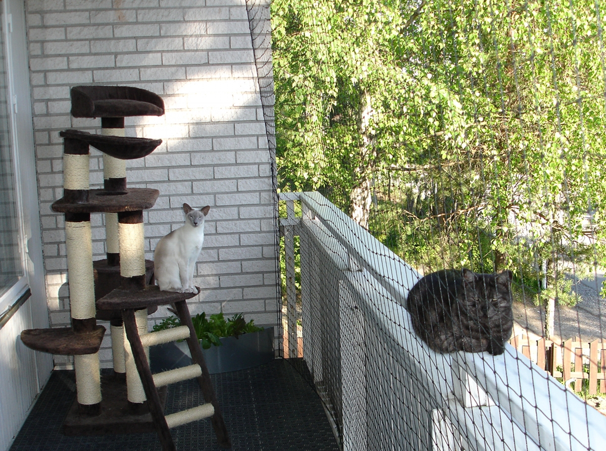 Кошачий балкон. Ограждение на балкон для кошек. Домик для кошки на балконе. Обустройство балкона для кошек.